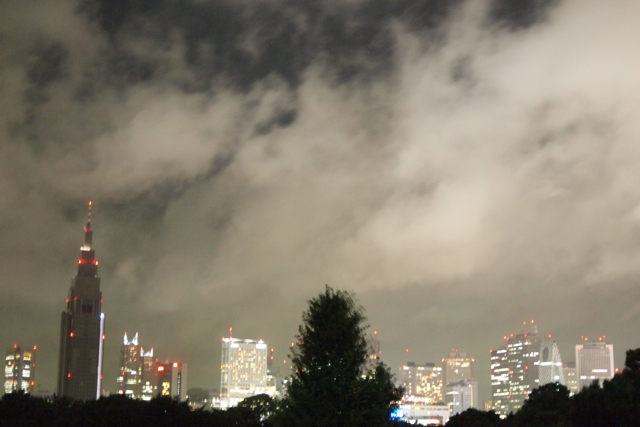 Shinjuku-yakei